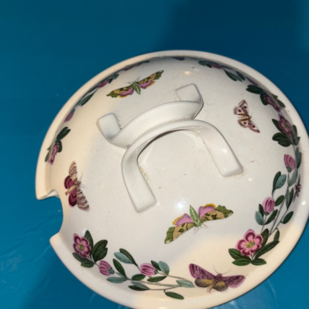 Portmeiron Botanic Garden Soup Tureen and Ladle - Picture 5 of 8
